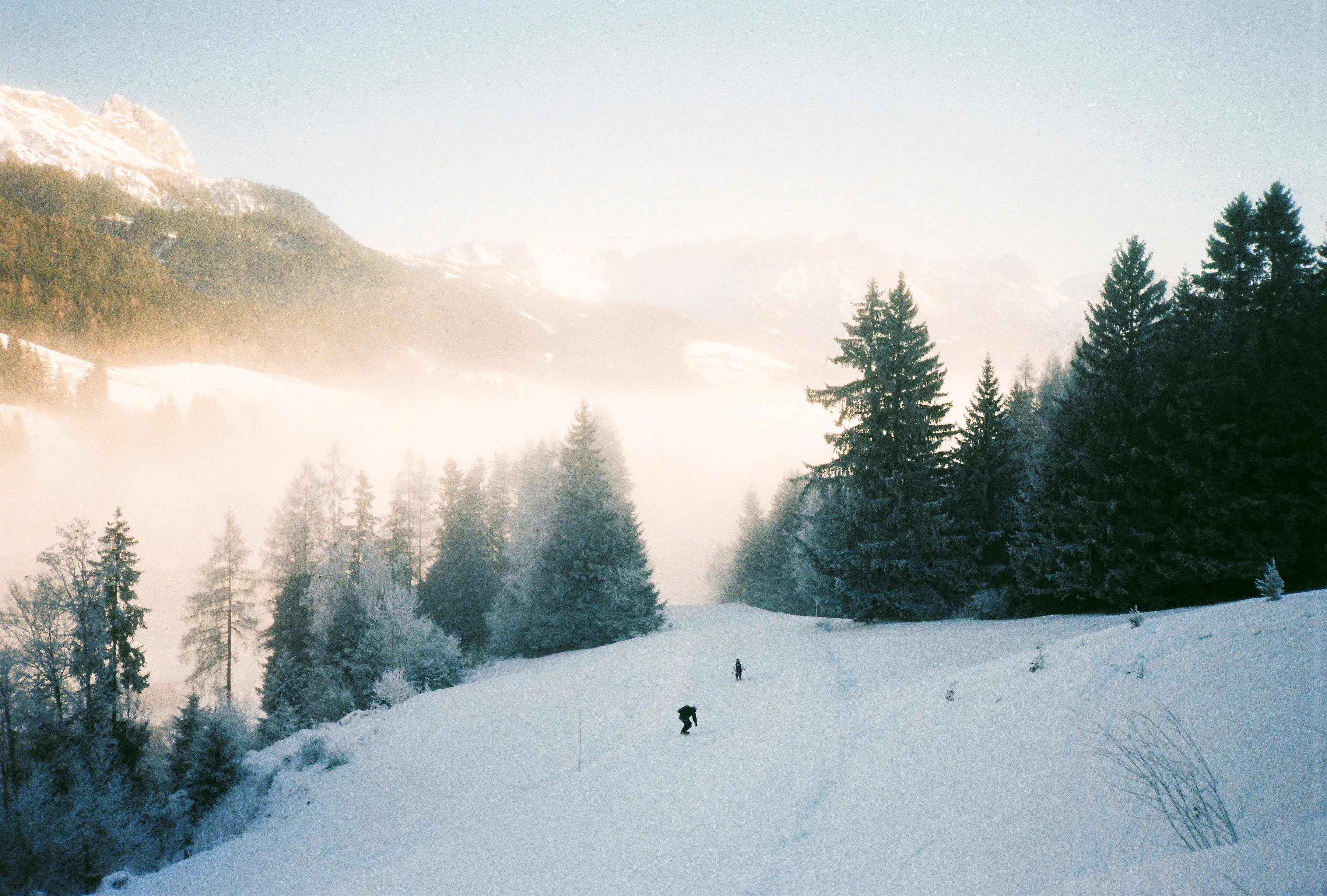 Schneebedeckter Weg mit Tannen und Bergkulisse in Leogang