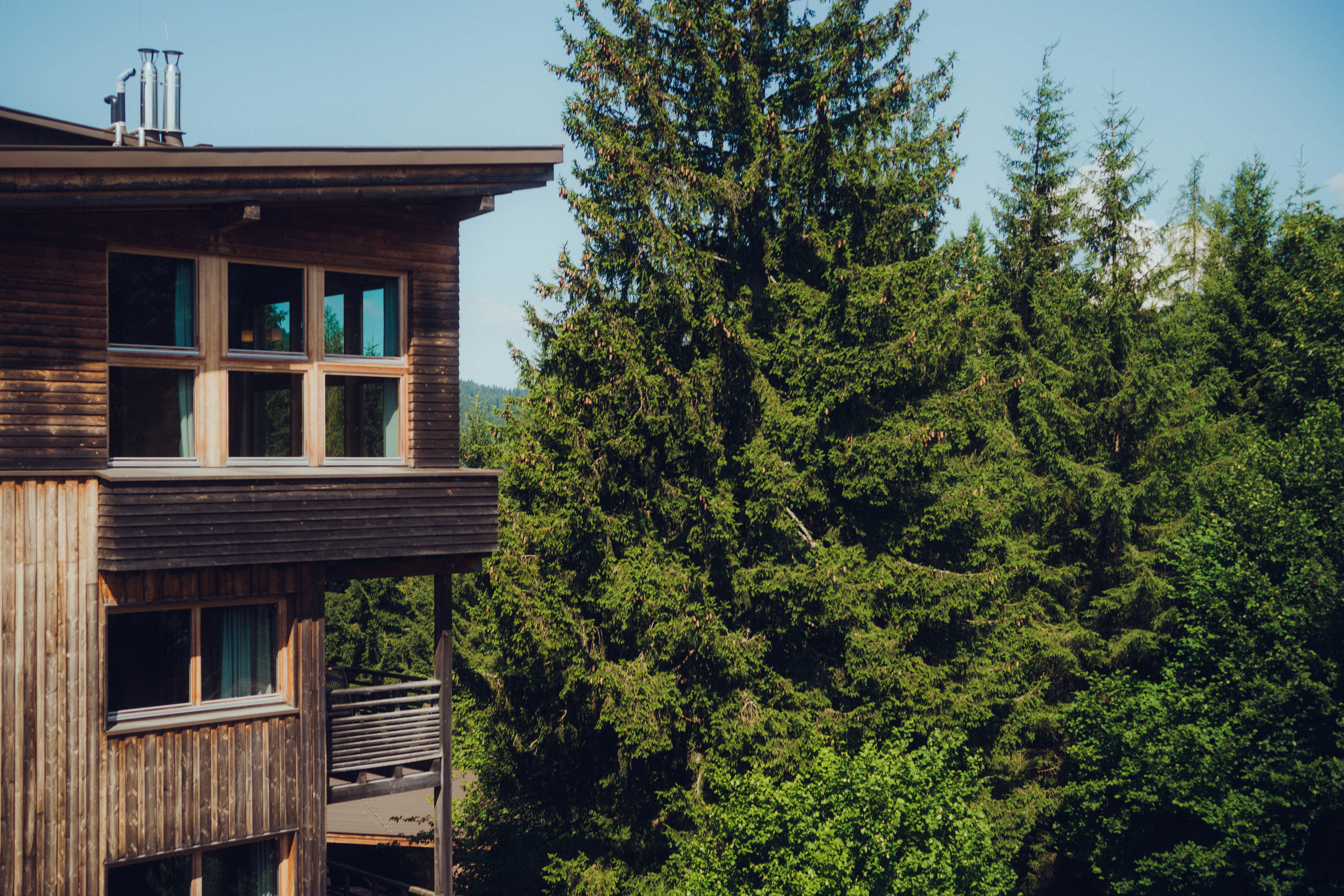 Wooden building with large windows and surrounding conifer trees