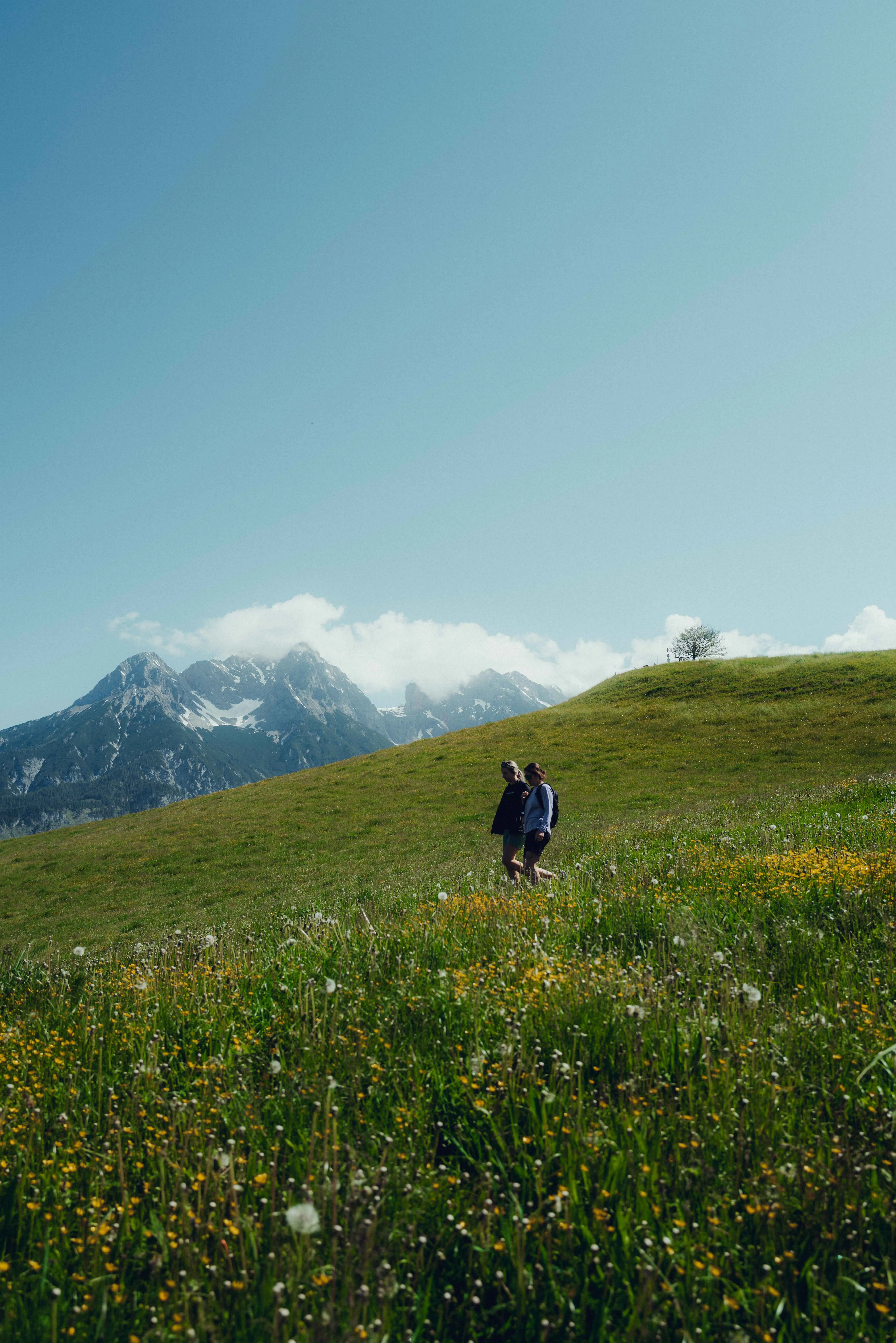 Paar wandert über eine blühende Wiese in den Alpen bei Leogang.