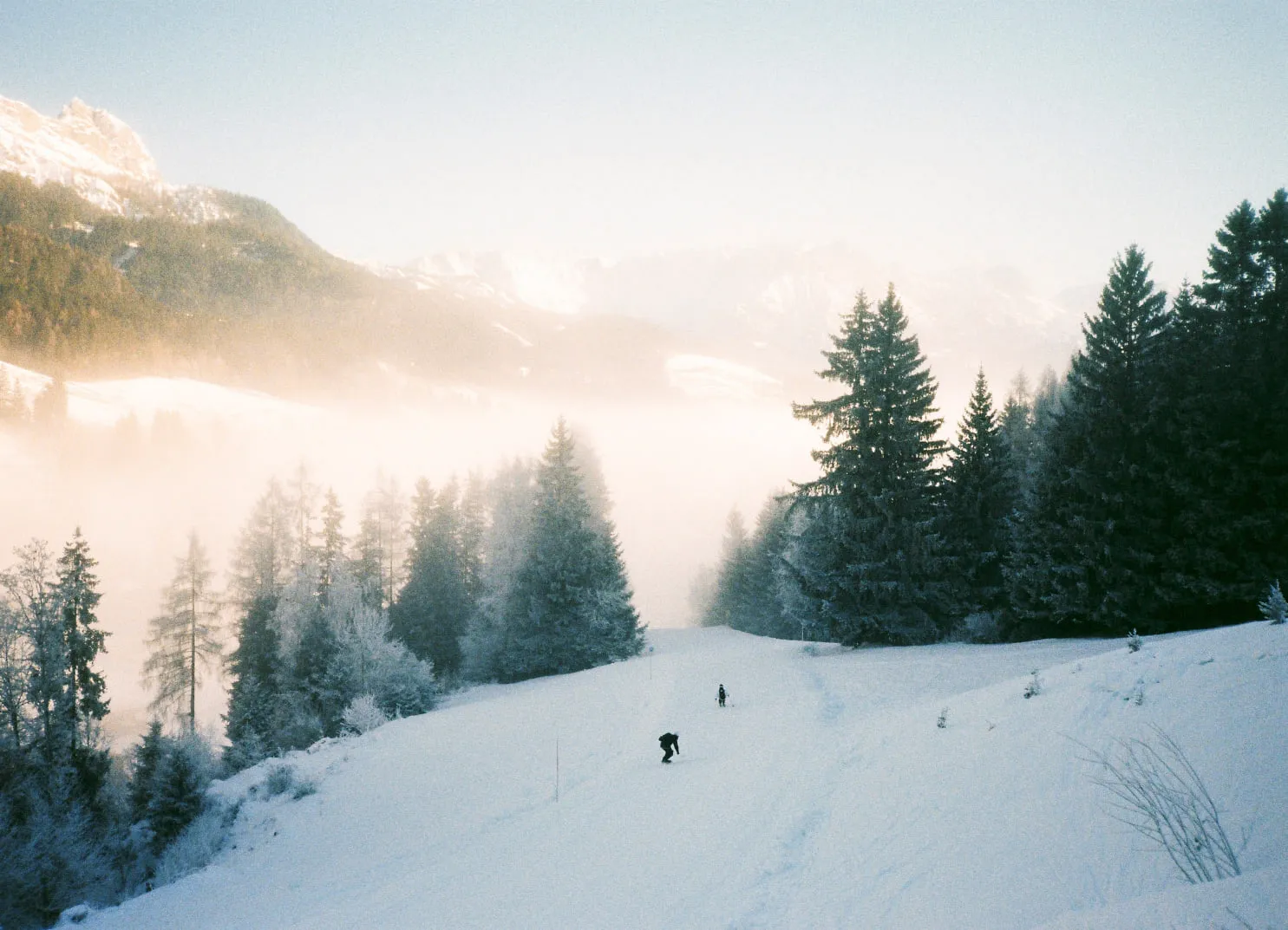 Schneebedeckte Landschaft mit Tannenbäumen und Menschen im Hintergrund
