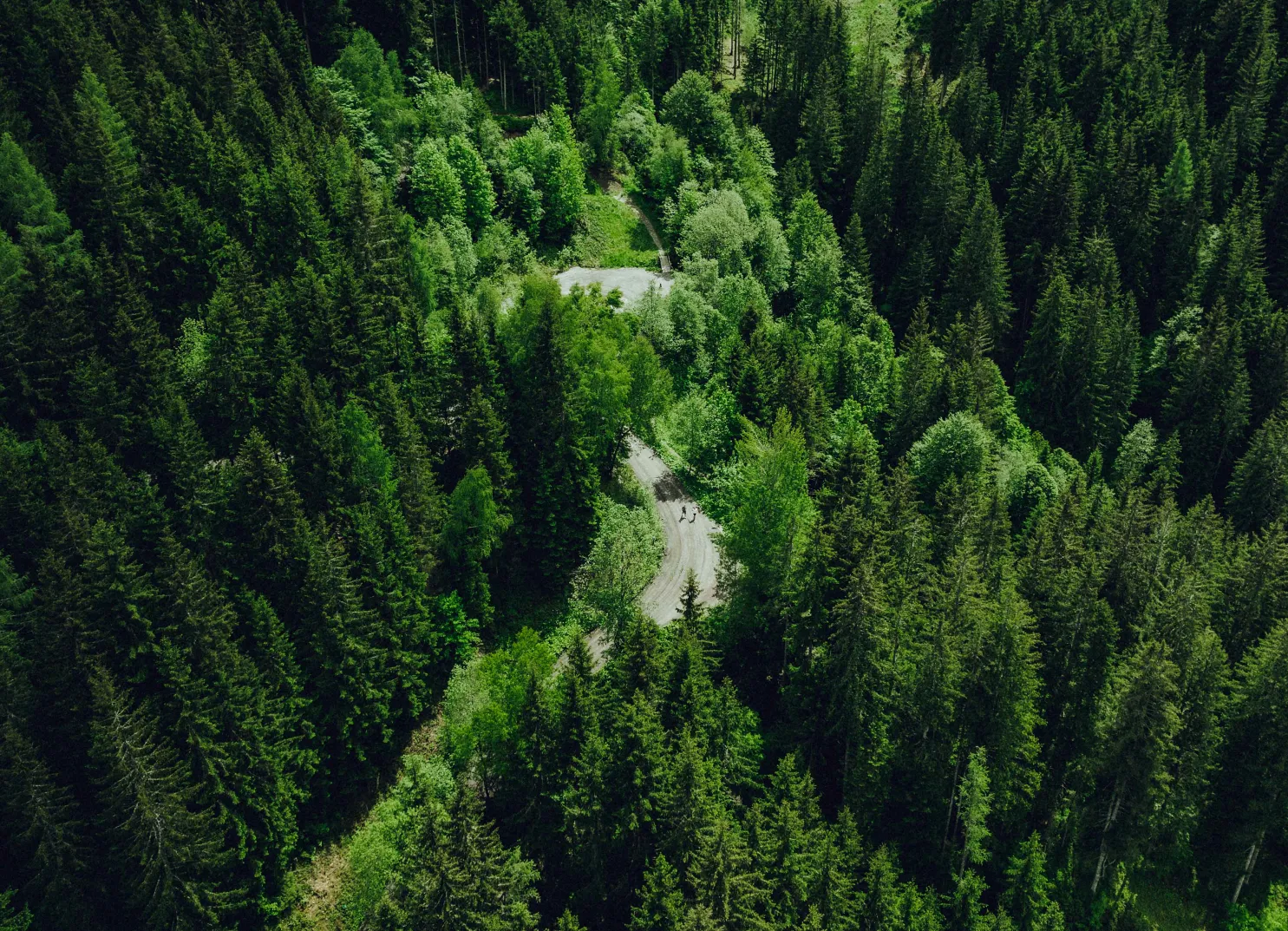 Winter Drohnenaufnahme von einem Wald
