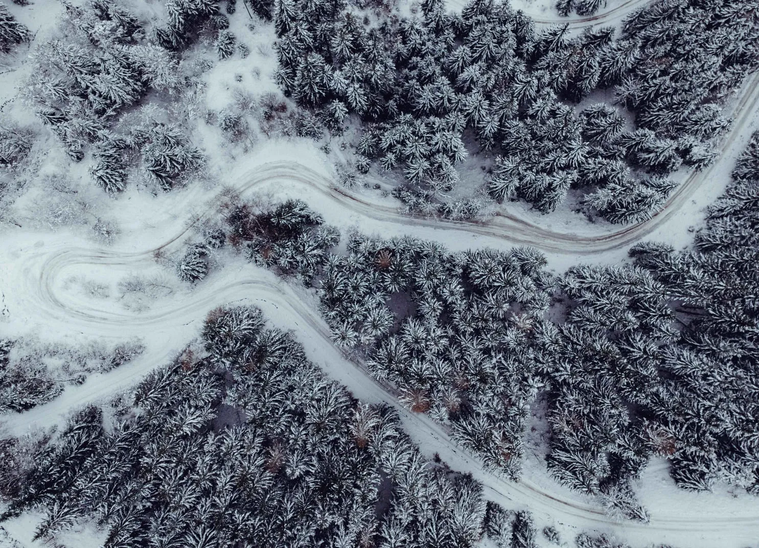 Winter Drohnenaufnahme von einem Wald