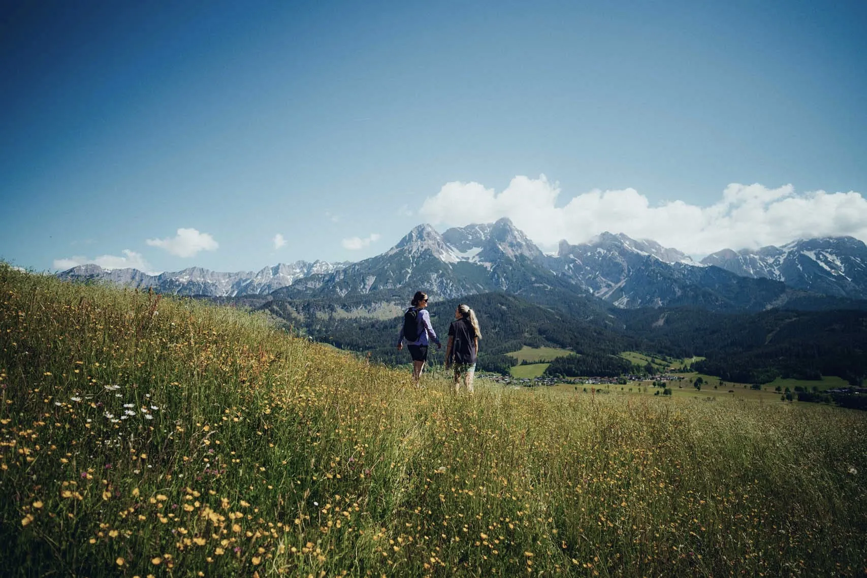 Zwei Personen wandern auf einem blühenden Feld mit Bergen im Hintergrund