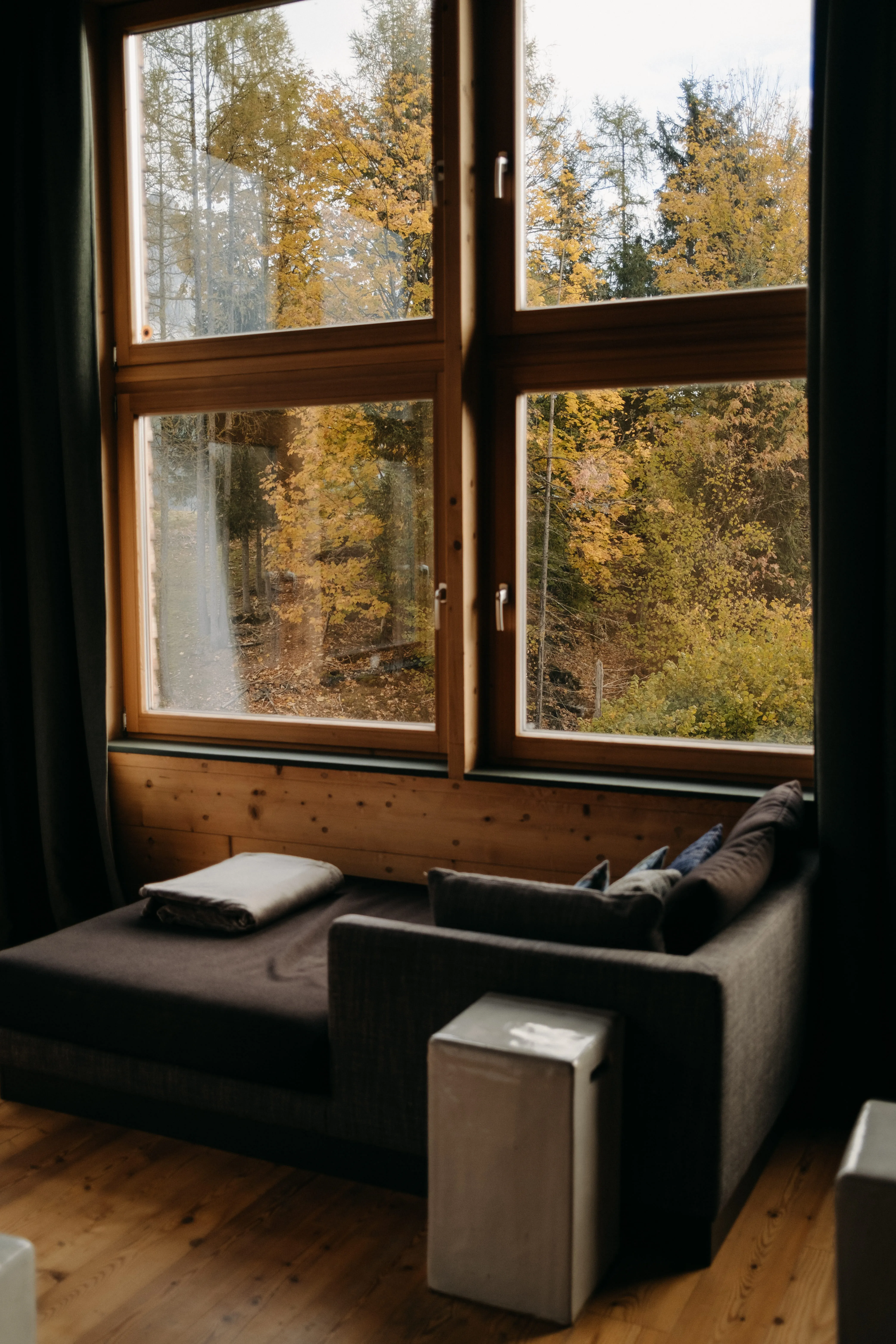 View from a window with autumn trees and a couch in the room