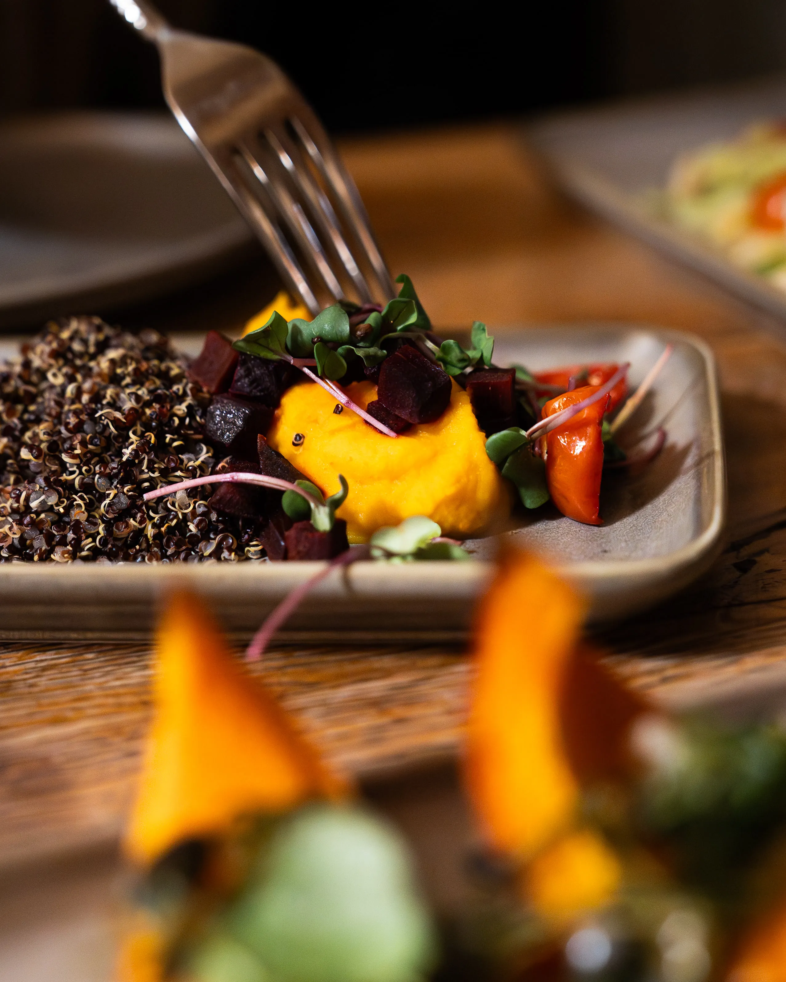 Teller mit Quinoa, Rüben, Gemüse und Kräutern