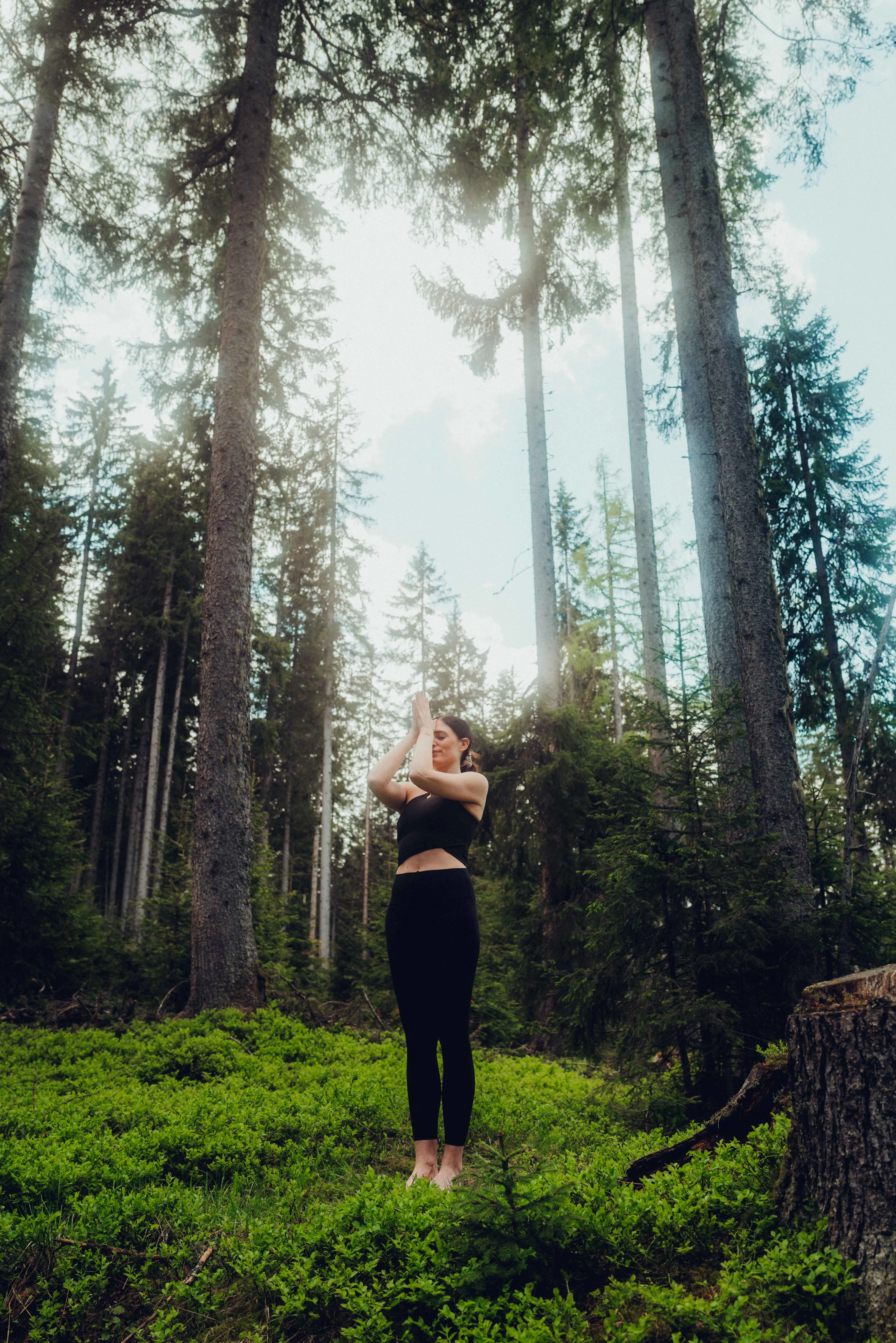 Woman practicing yoga in forest surrounded by tall trees