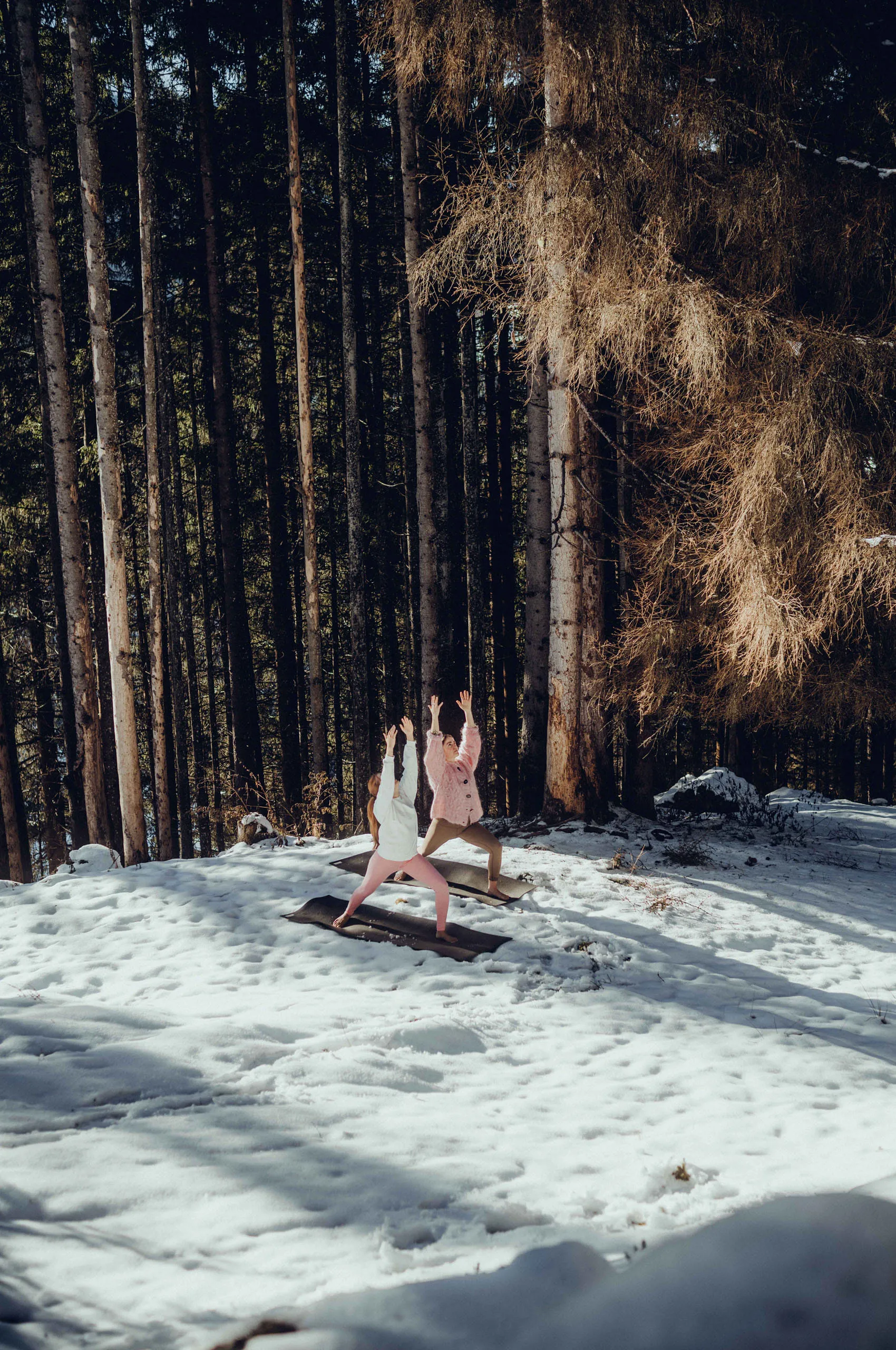 Two people in yoga poses on snow among trees.
