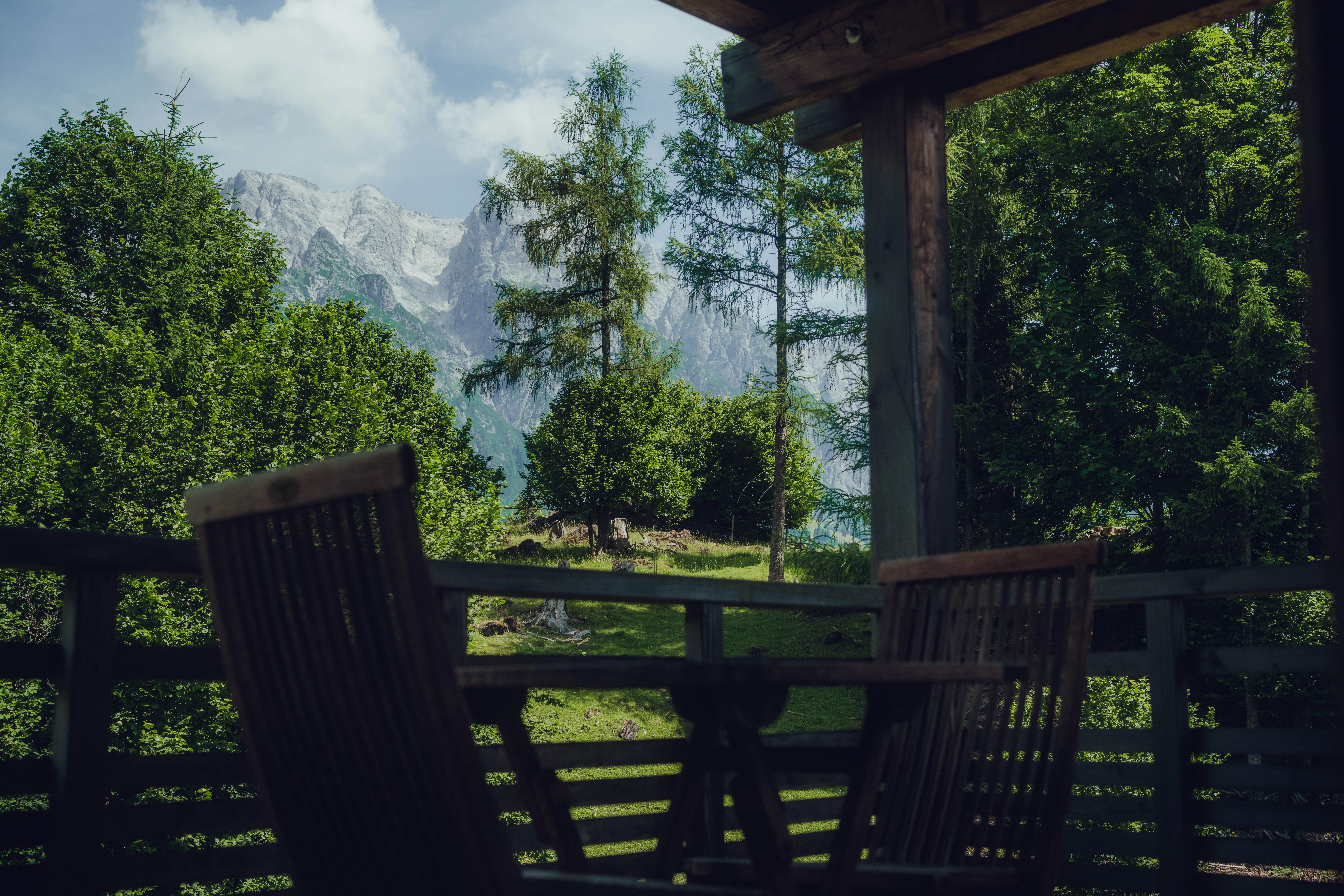 View of a green landscape with trees and mountains in the background.
