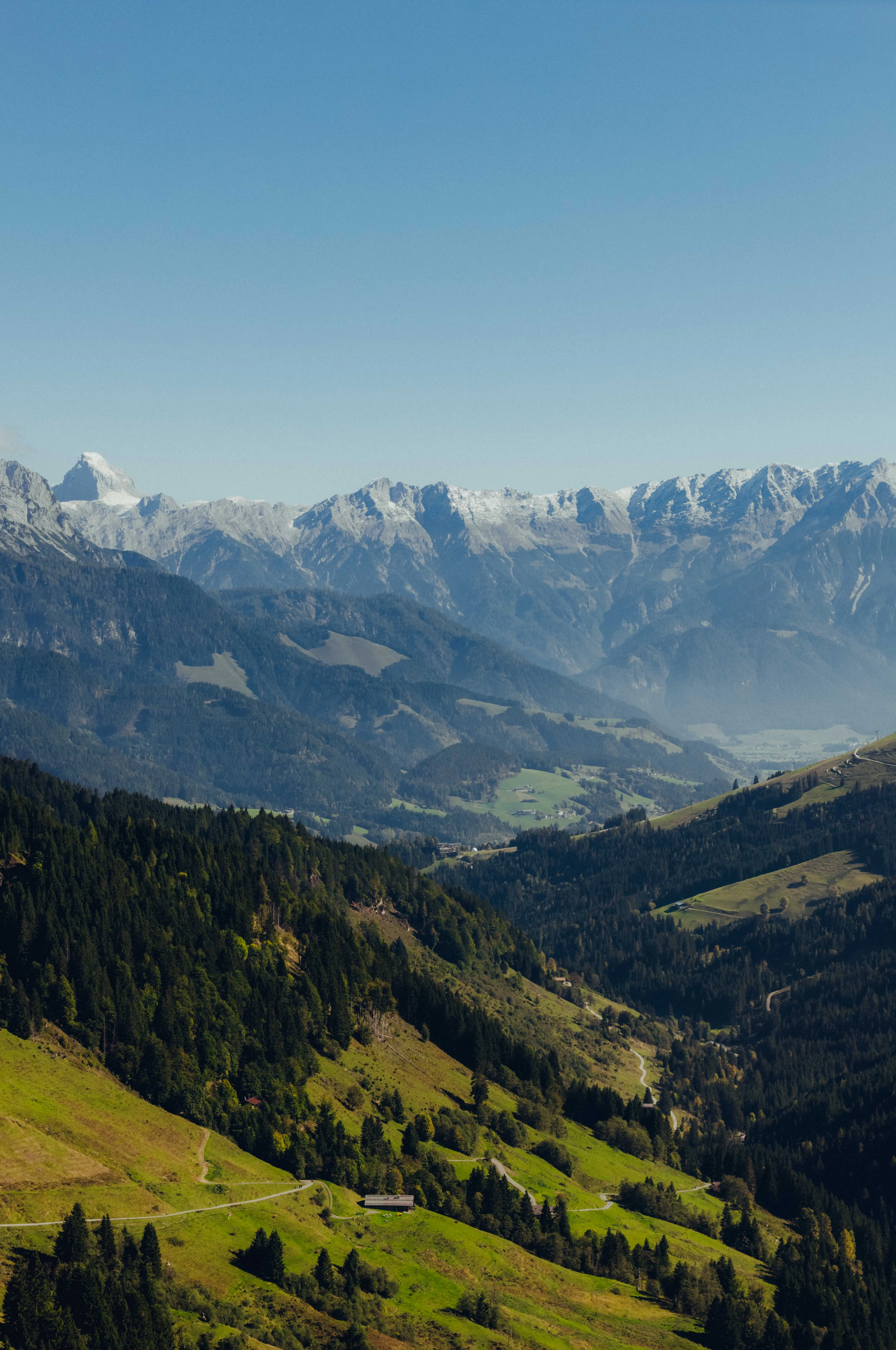 Berglandschaft mit grünen Wiesen und schneebedeckten Gipfeln