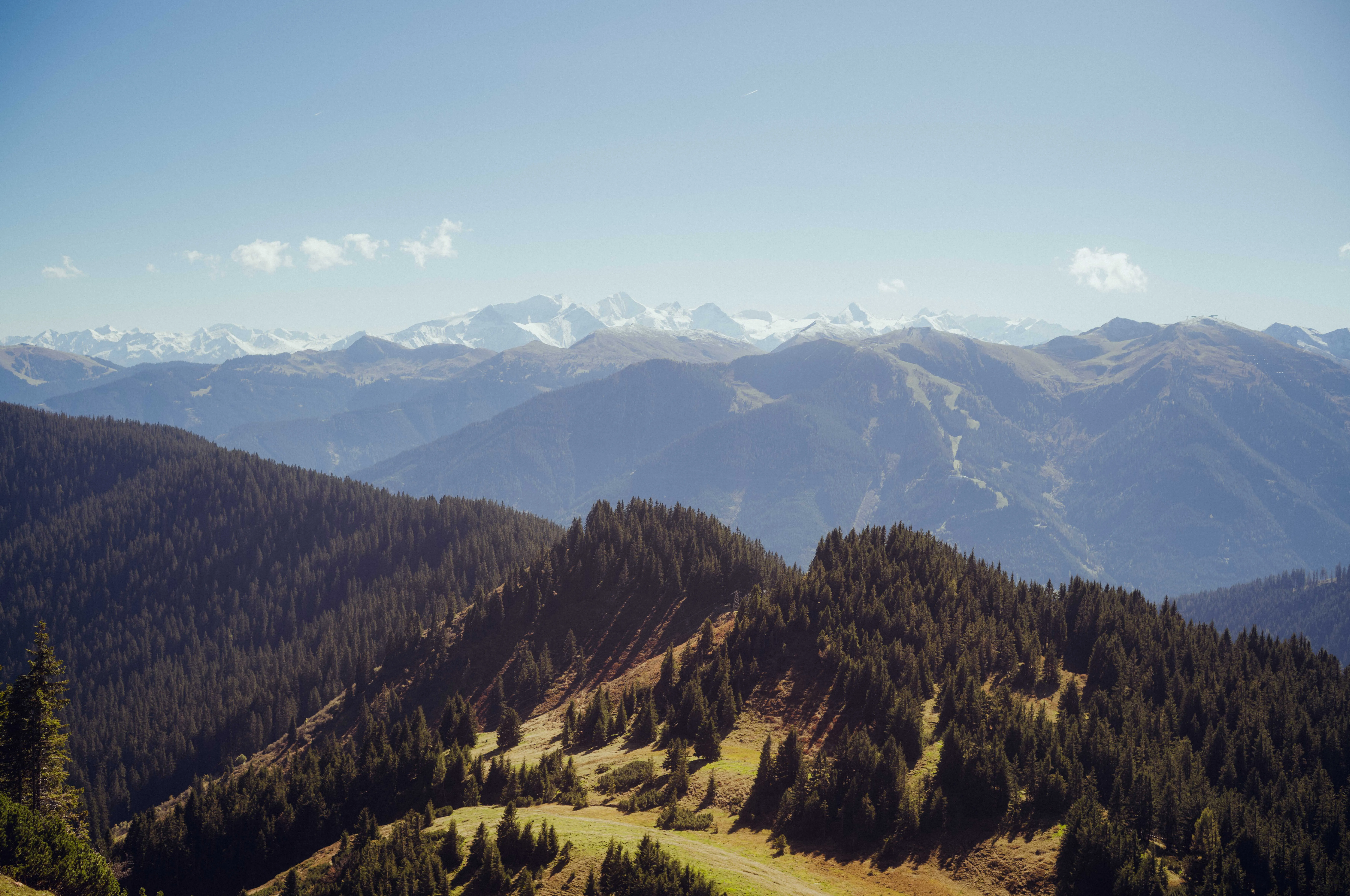 Berglandschaft mit Wäldern und schneebedeckten Gipfeln im Hintergrund