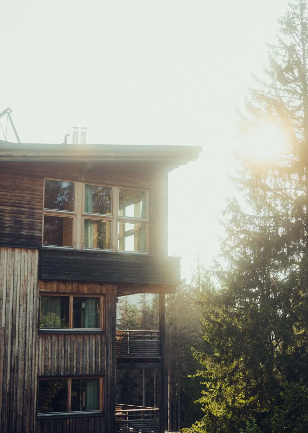 Wooden building surrounded by trees with sunlight in the background