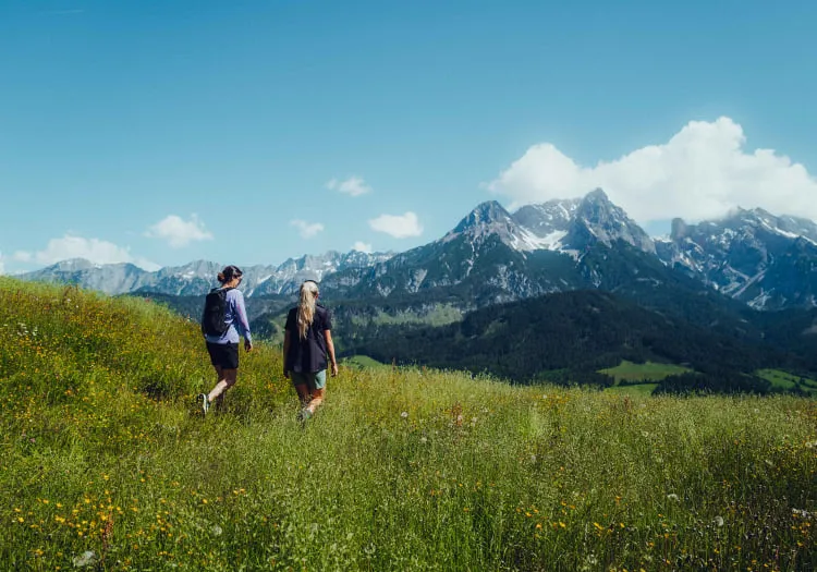 Zwei Wanderer auf einer blühenden Wiese mit Bergen im Hintergrund.