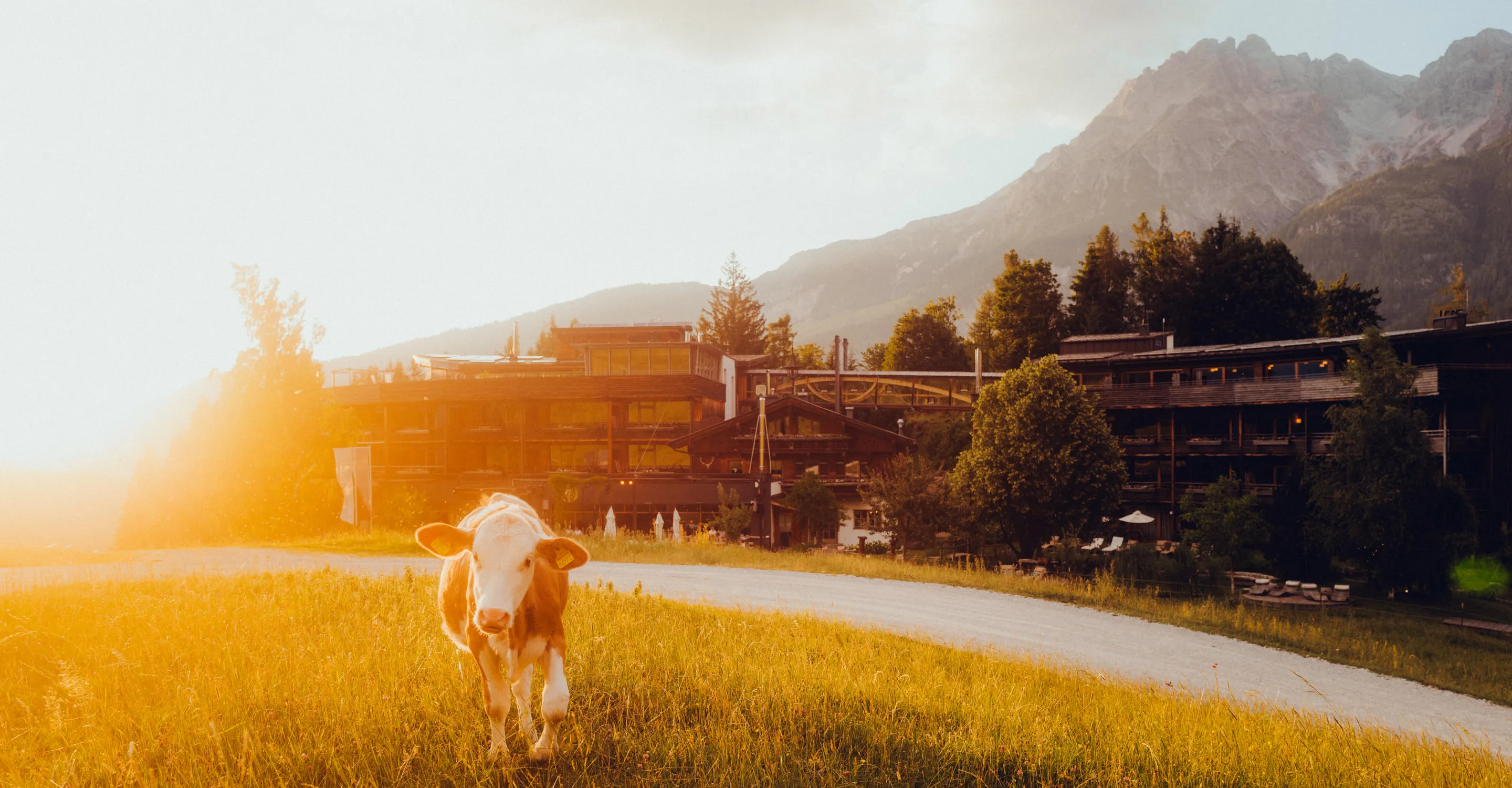 aJreSqTt2nPbaMTG_Lage-23