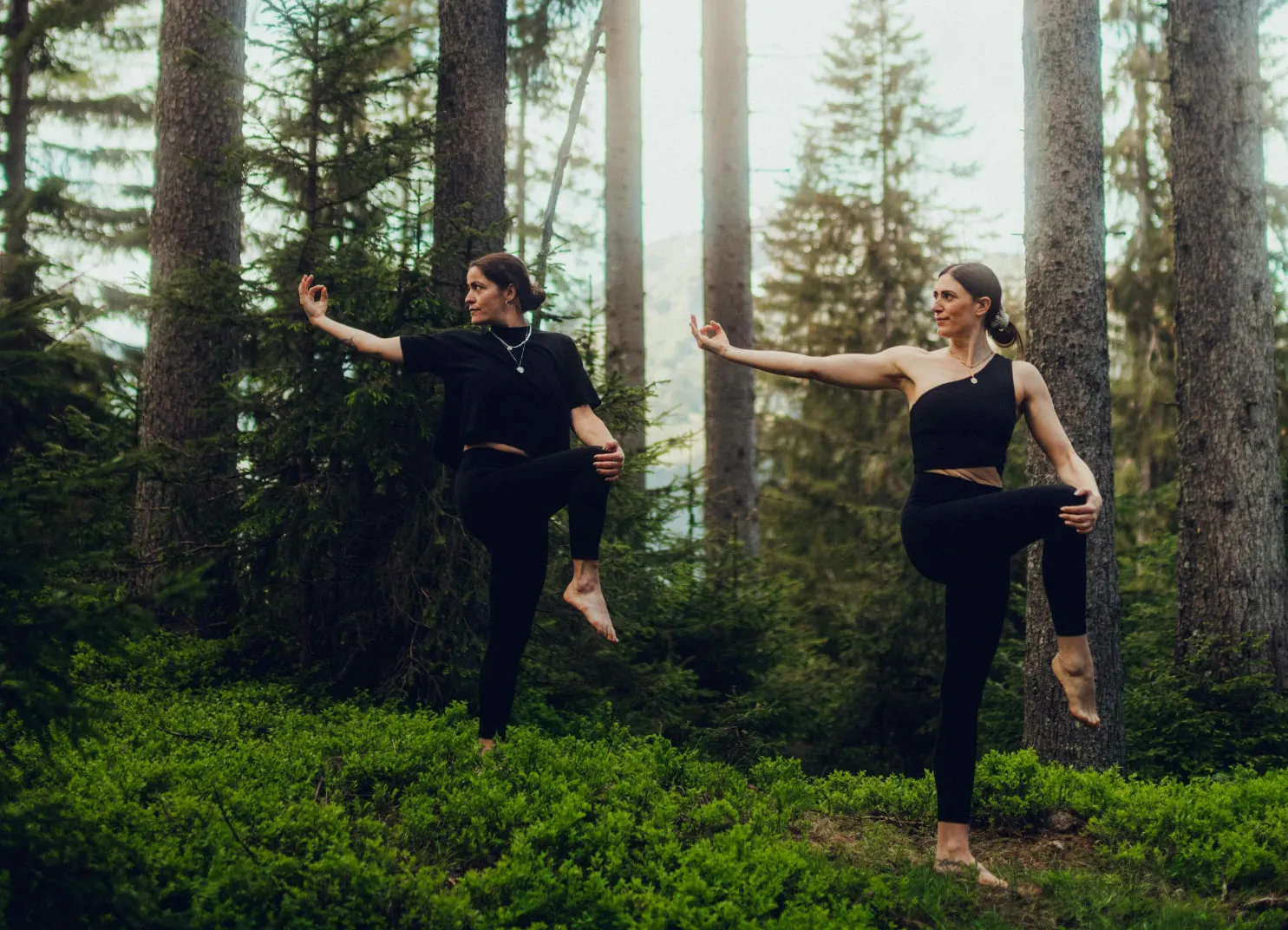 Zwei Frauen im Wald, in sportlicher Kleidung, führen Yoga-Posen aus.
