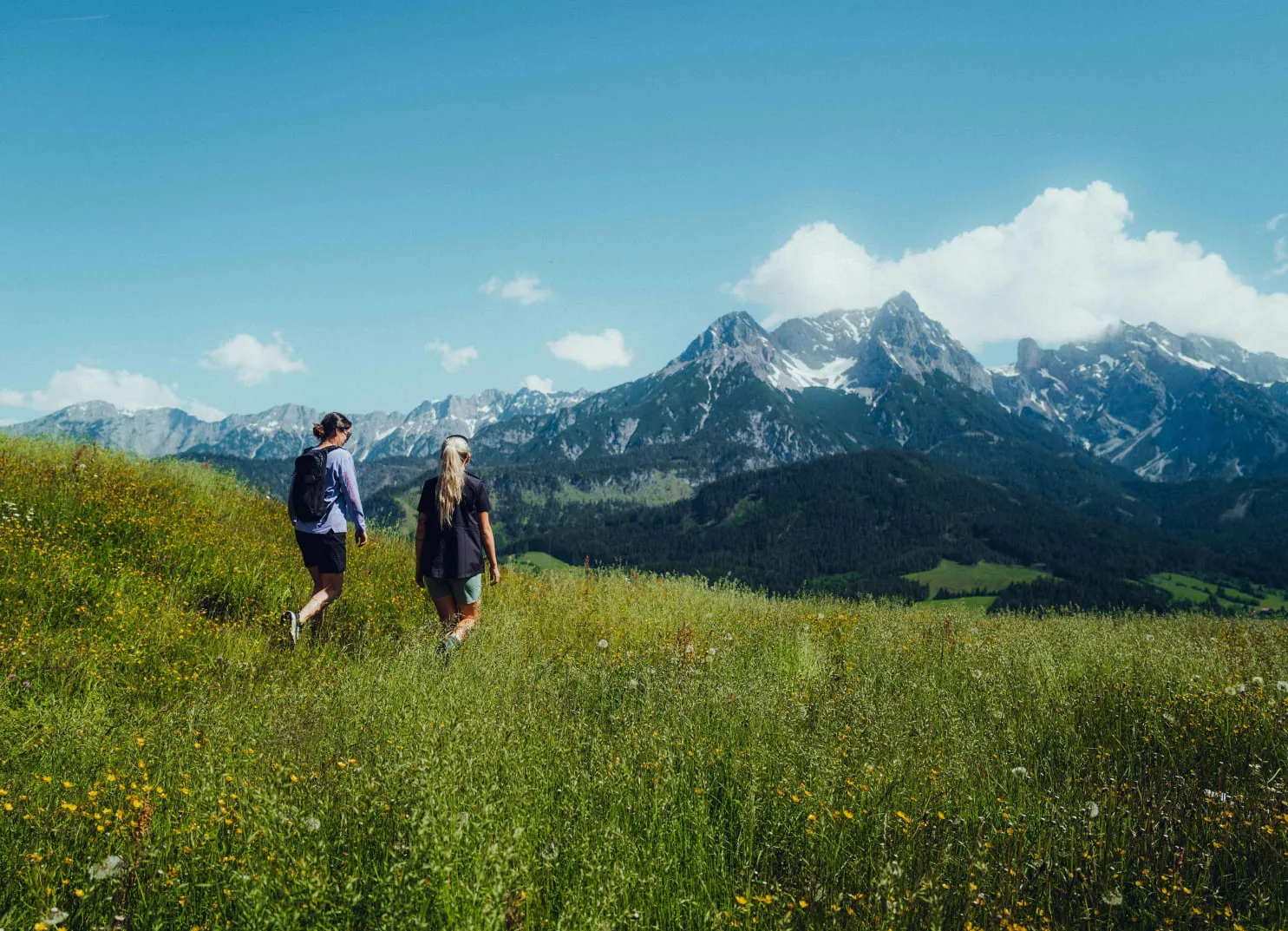 Zwei Personen wandern auf einer Wiese mit Bergen im Hintergrund.