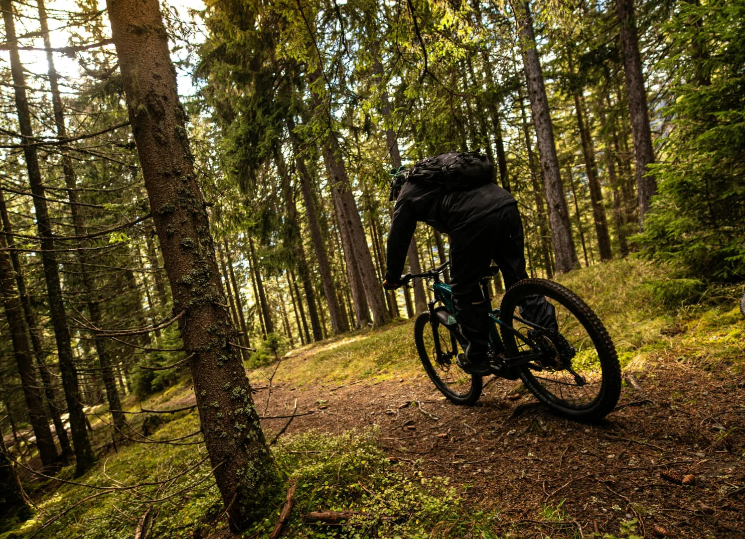 Mountainbiker fährt einen Waldweg entlang
