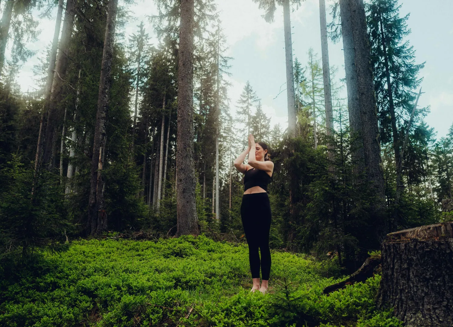 Person steht in einem Wald, Hände in Gebetshaltung erhoben