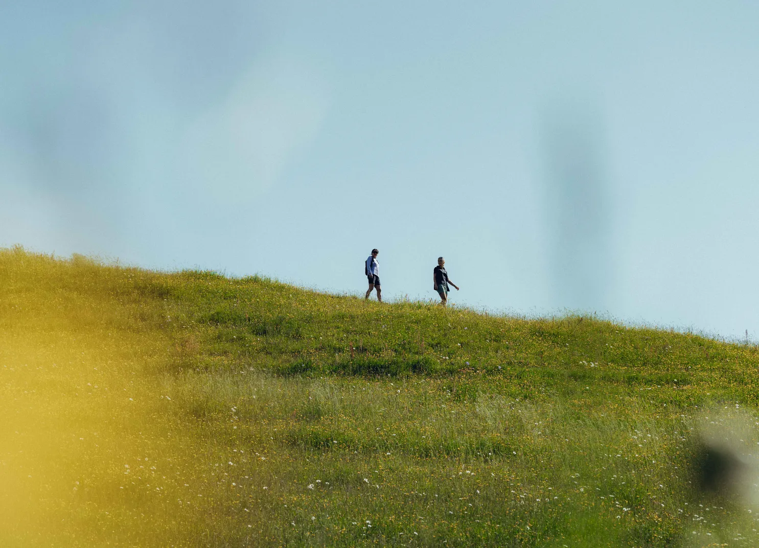 Zwei Personen gehen auf einem grasbewachsenen Hügel bei klarem Himmel