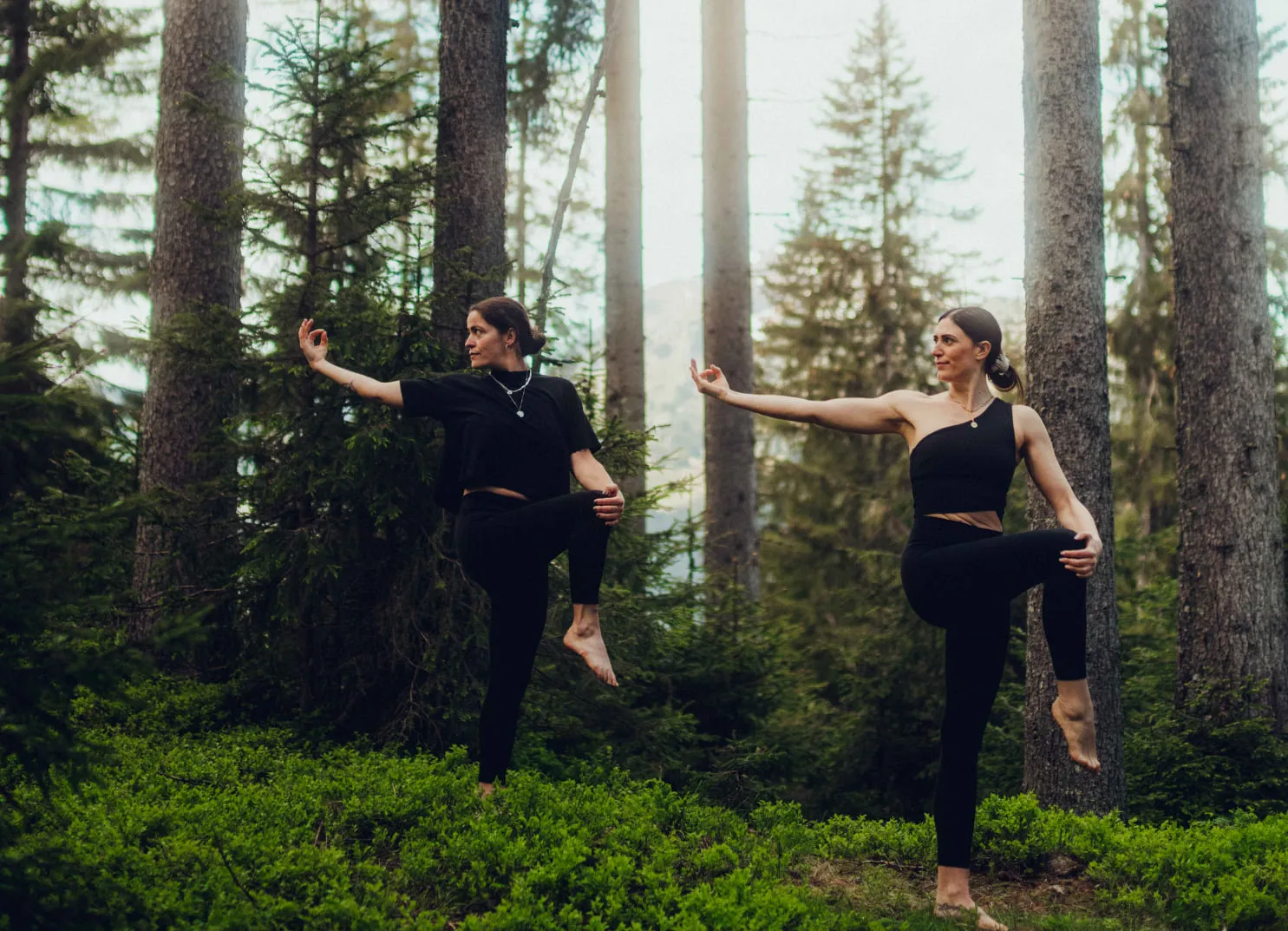 Zwei Frauen üben Yoga-Posen in einem Wald mit hohen Bäumen