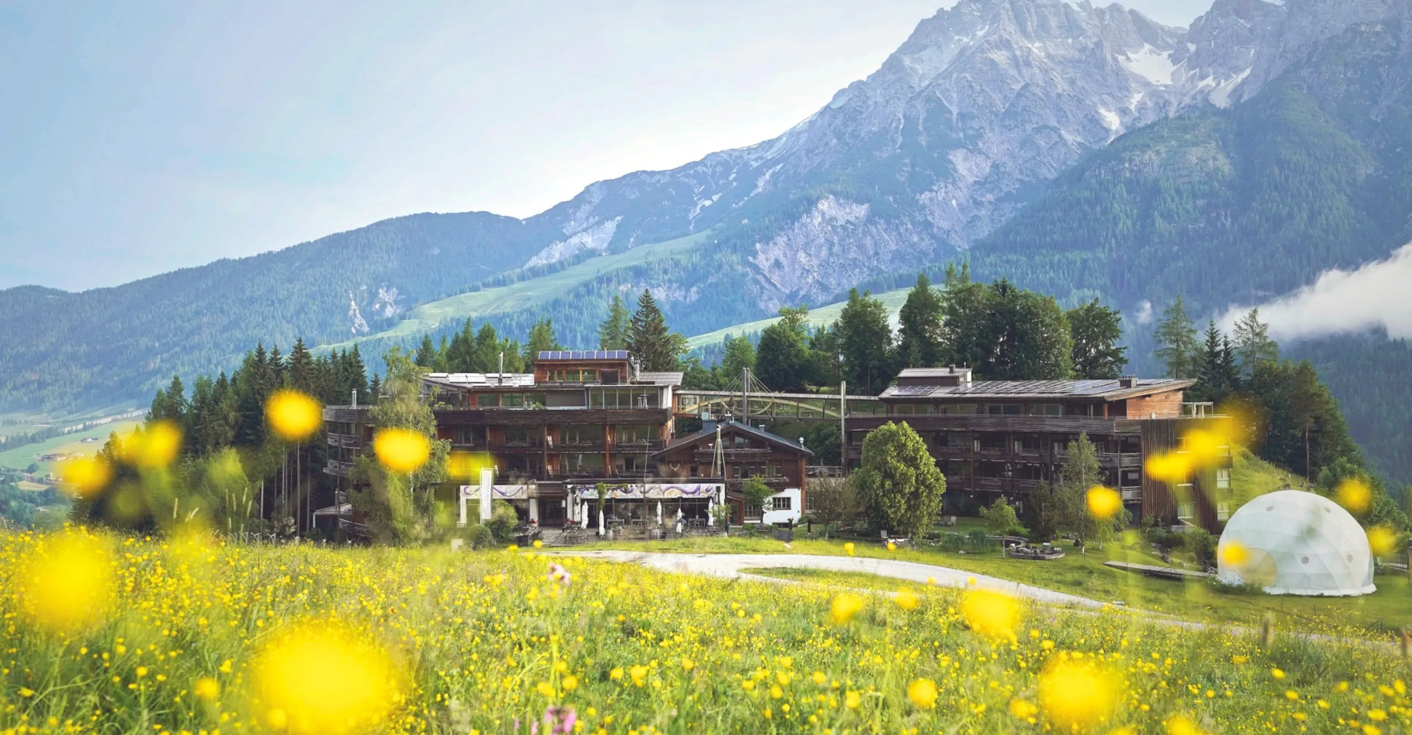 4b13b863-2cd0-4da1-8b11-c4742490