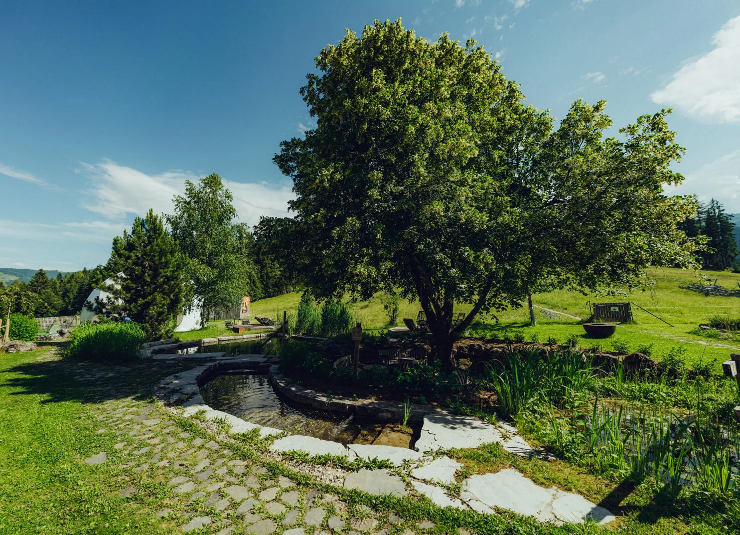 Garden view with trees, stones, and plants under a blue sky