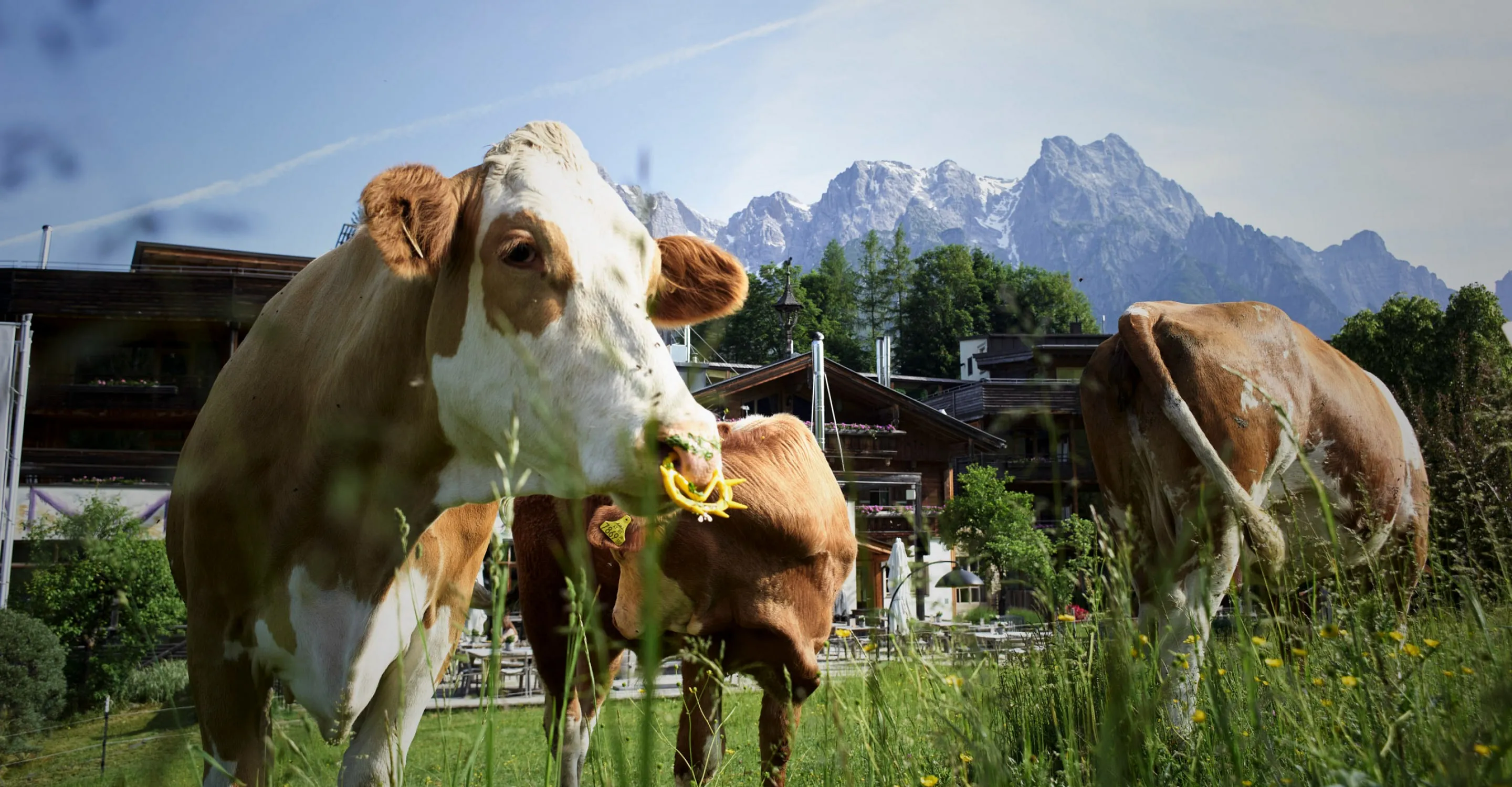 04a22be5-02c6-4e65-bb94-7a24fa92