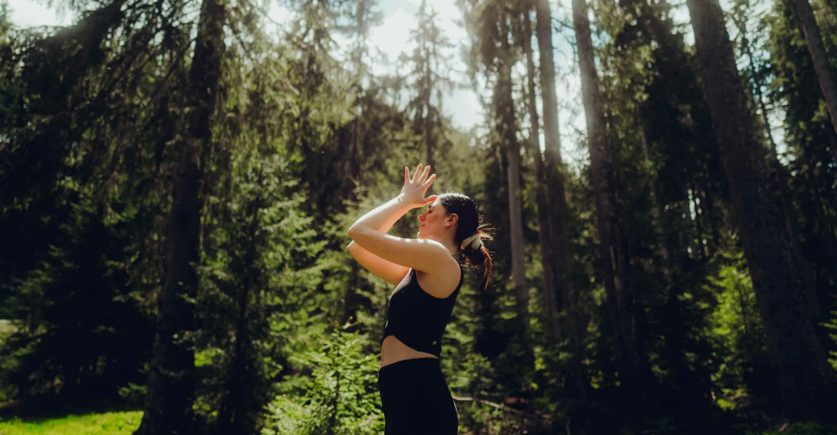 ZlmjUqWtHYXtT9qX_HolzhotelForsth