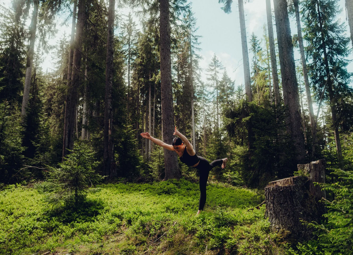 A person practicing yoga in a forest surrounded by tall trees.