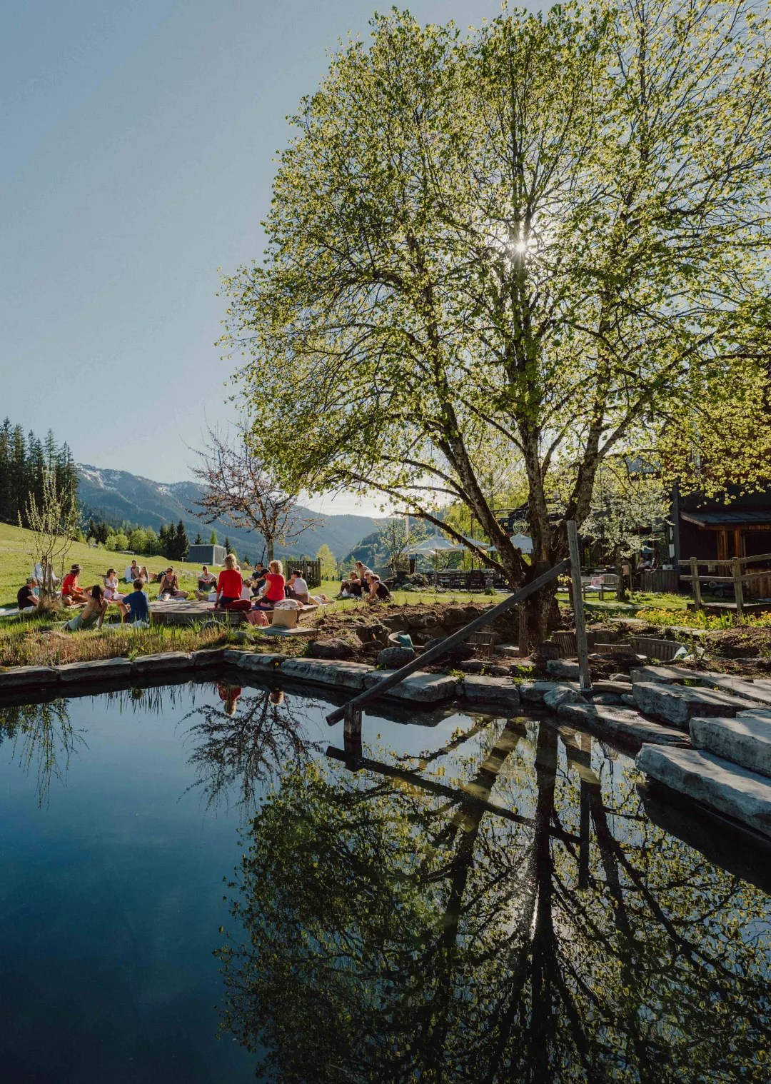 Group of people by water under a tree
