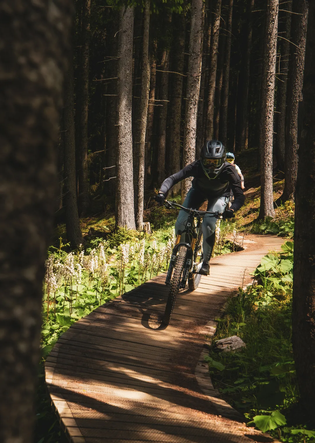 Rider on an e-bike on a forest path surrounded by trees