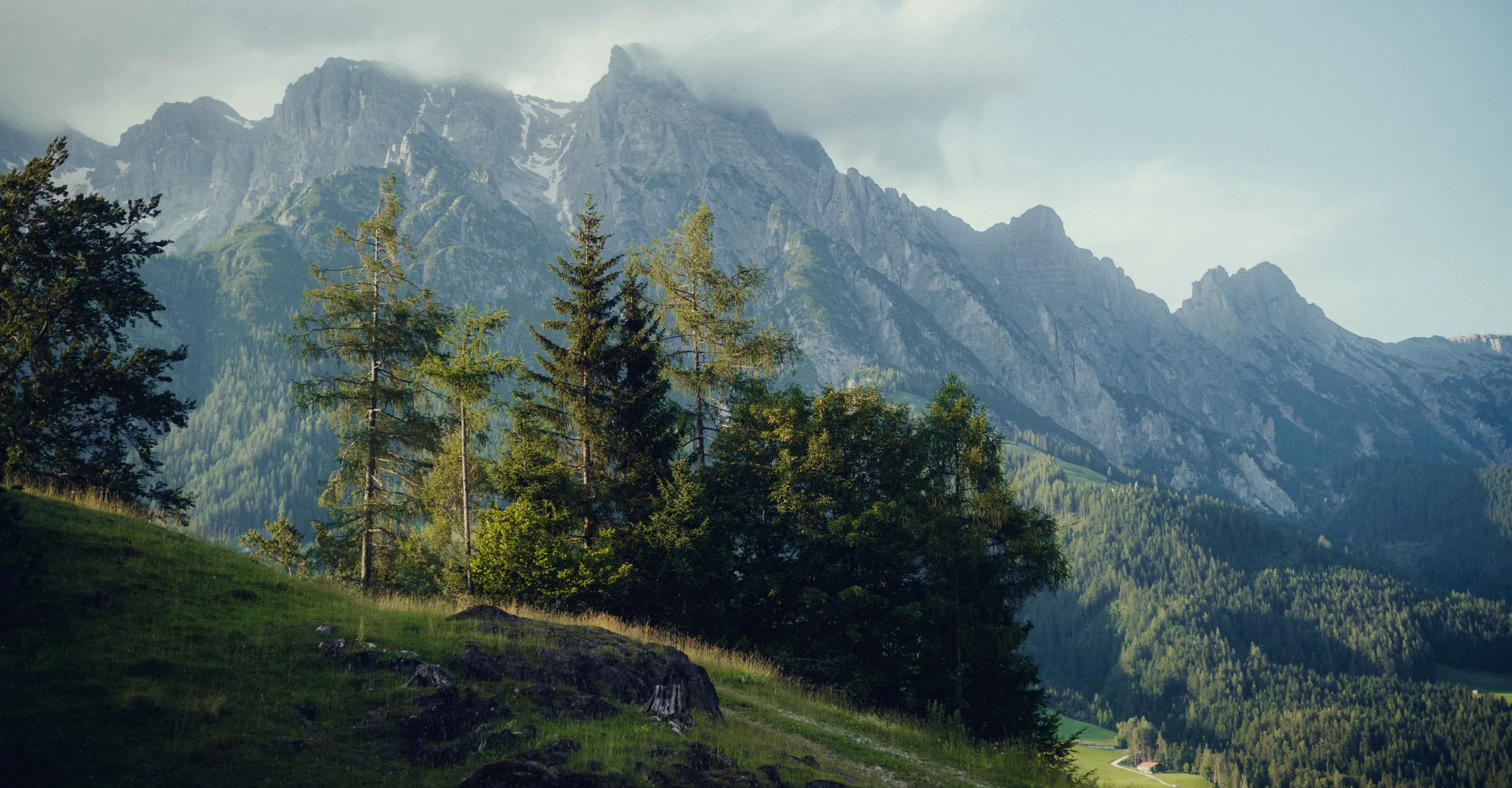 Mountain landscape with trees and green meadows in the foreground