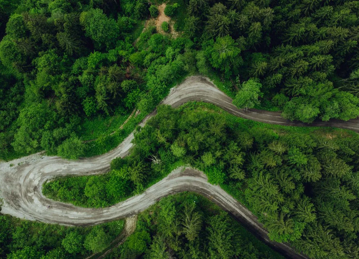 Aerial view of a winding road through forested area